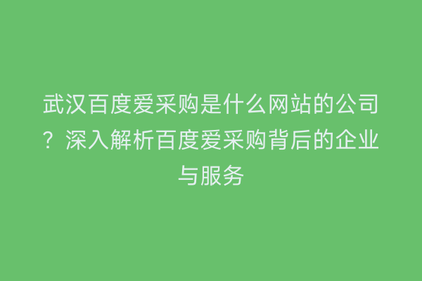 武汉百度爱采购是什么网站的公司？深入解析百度爱采购背后的企业与服务