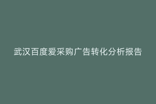 武汉百度爱采购广告转化分析报告