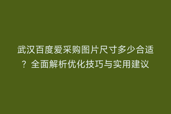 武汉百度爱采购图片尺寸多少合适？全面解析优化技巧与实用建议