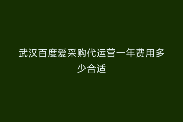 武汉百度爱采购代运营一年费用多少合适