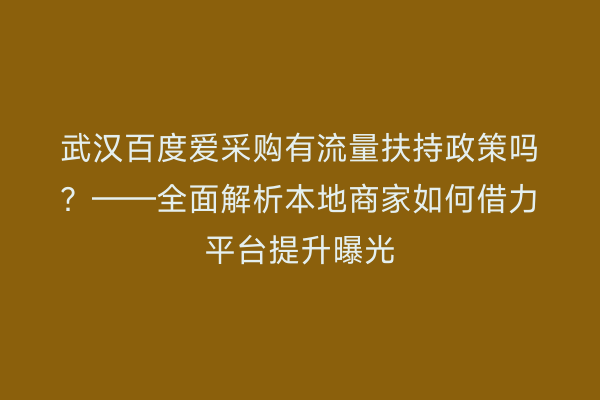 武汉百度爱采购有流量扶持政策吗？——全面解析本地商家如何借力平台提升曝光