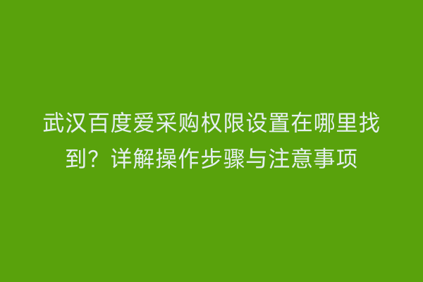 武汉百度爱采购权限设置在哪里找到？详解操作步骤与注意事项