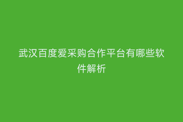 武汉百度爱采购合作平台有哪些软件解析