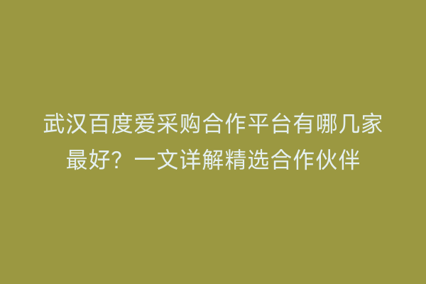 武汉百度爱采购合作平台有哪几家最好？一文详解精选合作伙伴