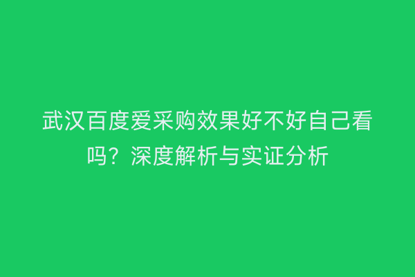 武汉百度爱采购效果好不好自己看吗？深度解析与实证分析