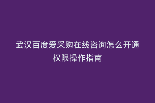 武汉百度爱采购在线咨询怎么开通权限操作指南