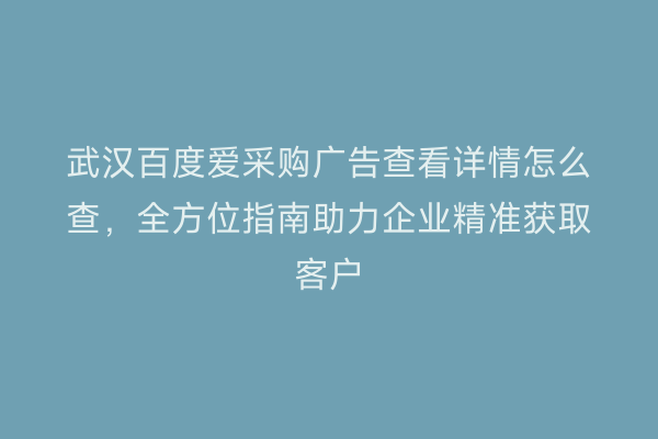 武汉百度爱采购广告查看详情怎么查,全方位指南助力企业精准获取客户