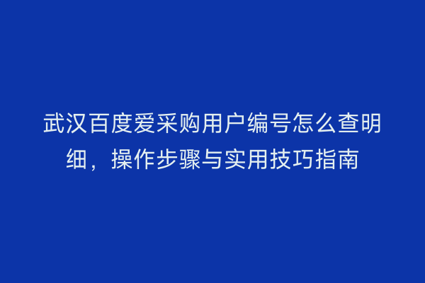 武汉百度爱采购用户编号怎么查明细，操作步骤与实用技巧指南