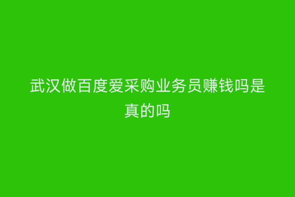 武汉做百度爱采购业务员赚钱吗是真的吗