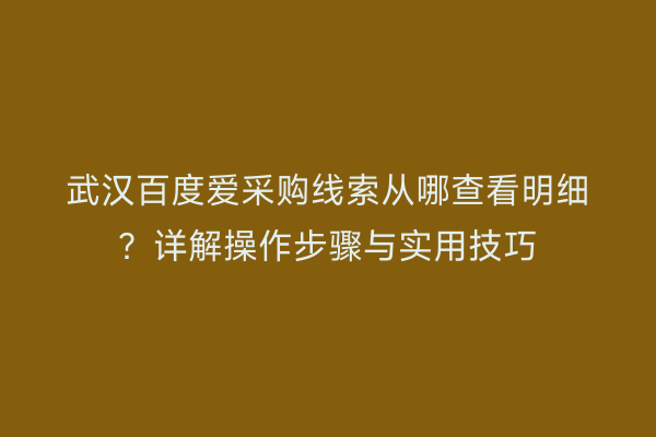武汉百度爱采购线索从哪查看明细？详解操作步骤与实用技巧