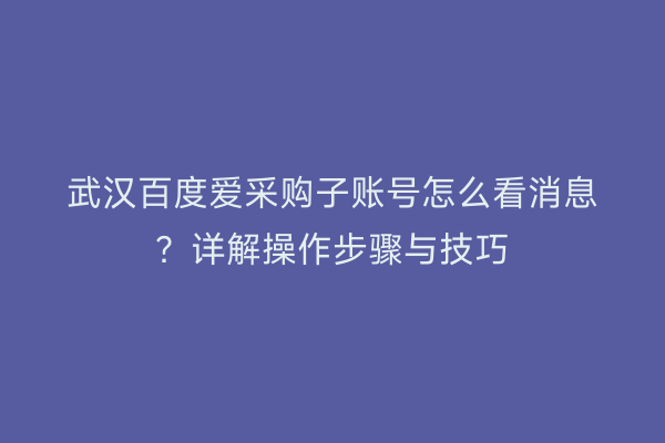 武汉百度爱采购子账号怎么看消息？详解操作步骤与技巧