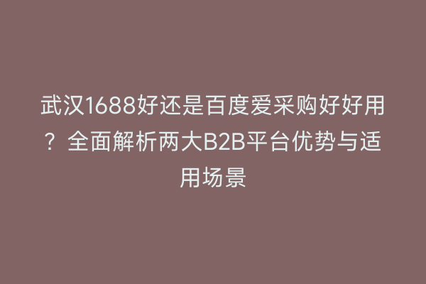武汉1688好还是百度爱采购好好用？全面解析两大B2B平台优势与适用场景