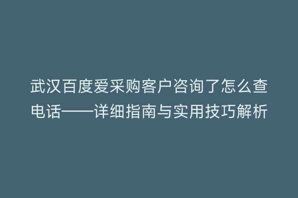 武汉百度爱采购客户咨询了怎么查电话——详细指南与实用技巧解析
