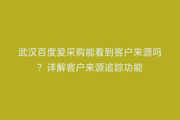 武汉百度爱采购能看到客户来源吗？详解客户来源追踪功能