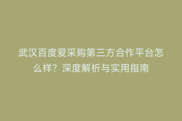 武汉百度爱采购第三方合作平台怎么样？深度解析与实用指南