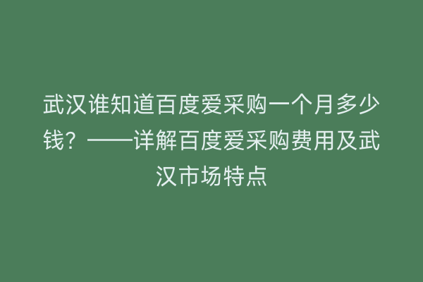 武汉谁知道百度爱采购一个月多少钱？——详解百度爱采购费用及武汉市场特点