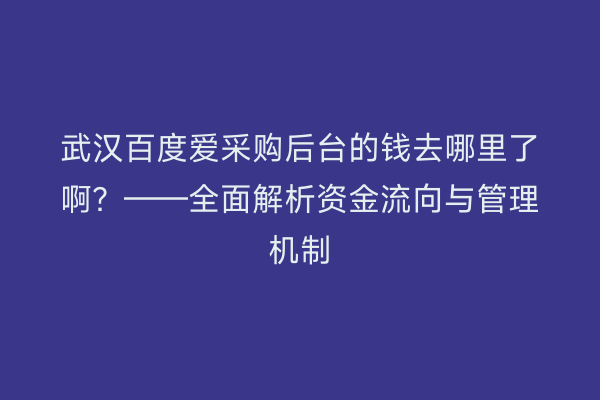 武汉百度爱采购后台的钱去哪里了啊？——全面解析资金流向与管理机制