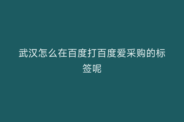 武汉怎么在百度打百度爱采购的标签呢