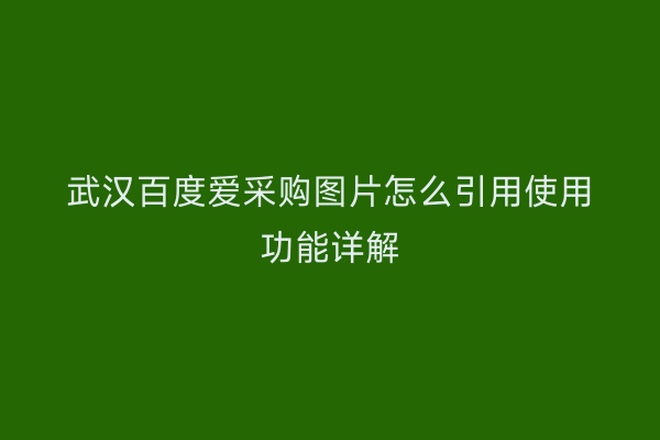 武汉百度爱采购图片怎么引用使用功能详解