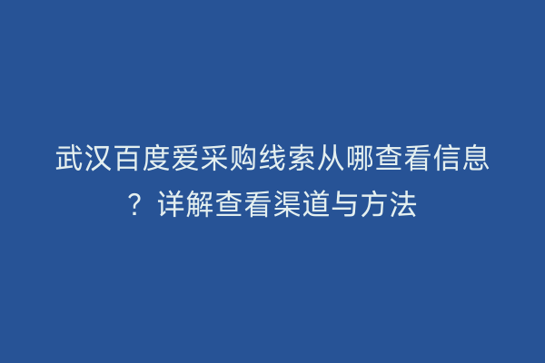武汉百度爱采购线索从哪查看信息？详解查看渠道与方法