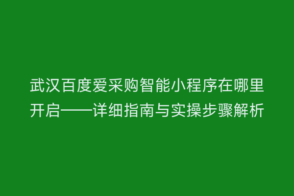 武汉百度爱采购智能小程序在哪里开启——详细指南与实操步骤解析