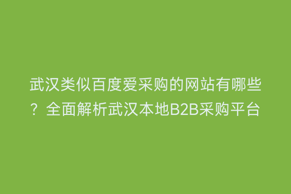 武汉类似百度爱采购的网站有哪些？全面解析武汉本地B2B采购平台