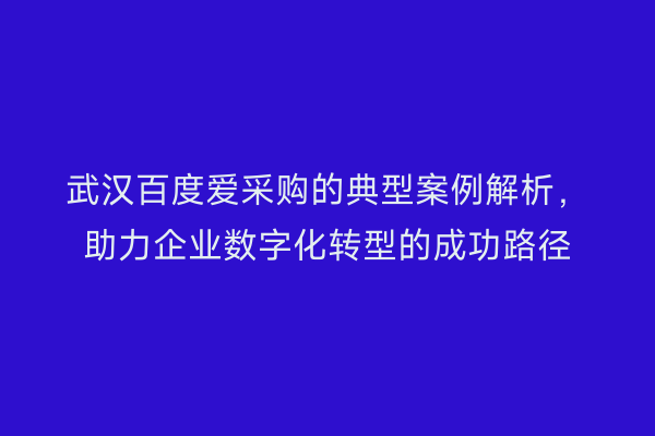 武汉百度爱采购的典型案例解析，助力企业数字化转型的成功路径