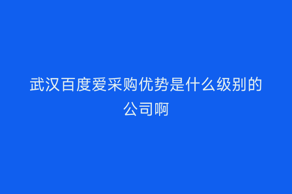 武汉百度爱采购优势是什么级别的公司啊