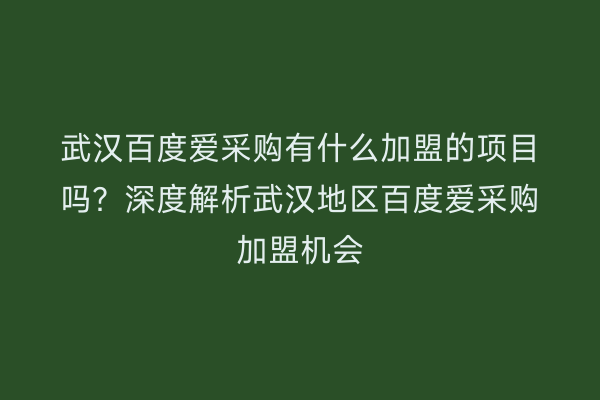 武汉百度爱采购有什么加盟的项目吗？深度解析武汉地区百度爱采购加盟机会