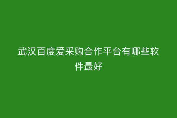 武汉百度爱采购合作平台有哪些软件最好