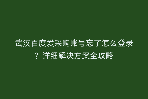 武汉百度爱采购账号忘了怎么登录？详细解决方案全攻略