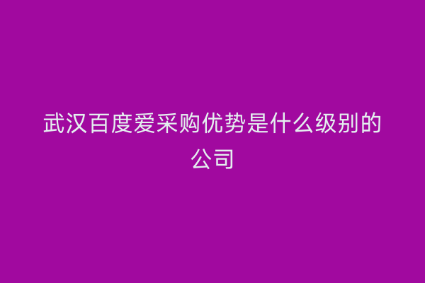 武汉百度爱采购优势是什么级别的公司