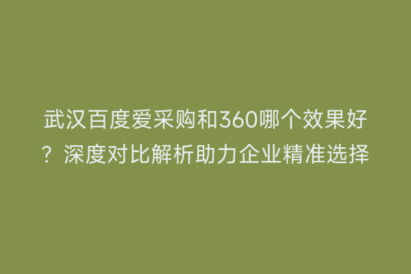 武汉百度爱采购和360哪个效果好？深度对比解析助力企业精准选择