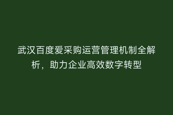 武汉百度爱采购运营管理机制全解析，助力企业高效数字转型