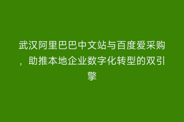 武汉阿里巴巴中文站与百度爱采购，助推本地企业数字化转型的双引擎