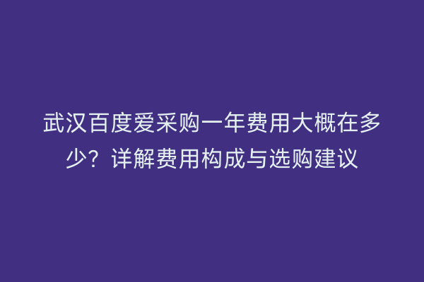 武汉百度爱采购一年费用大概在多少？详解费用构成与选购建议