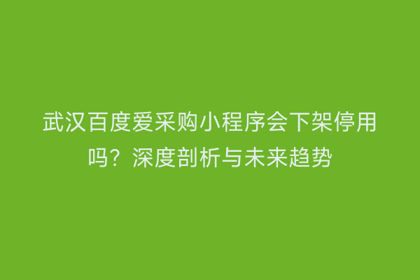 武汉百度爱采购小程序会下架停用吗？深度剖析与未来趋势
