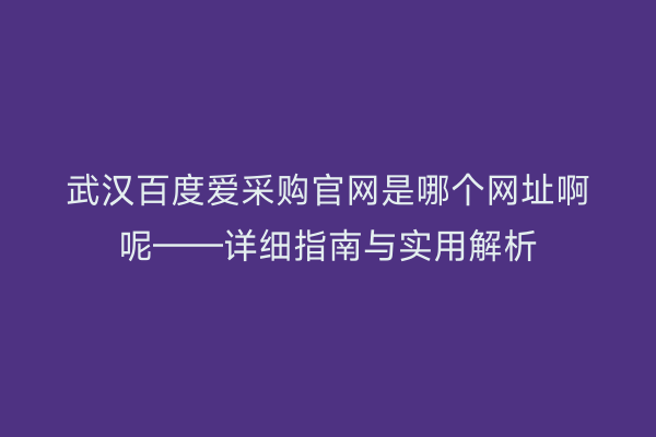 武汉百度爱采购官网是哪个网址啊呢——详细指南与实用解析