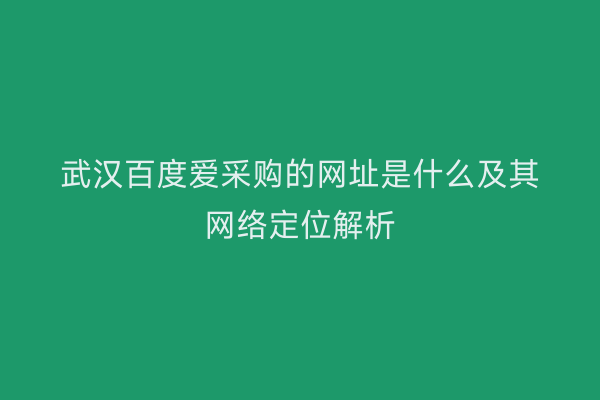 武汉百度爱采购的网址是什么及其网络定位解析