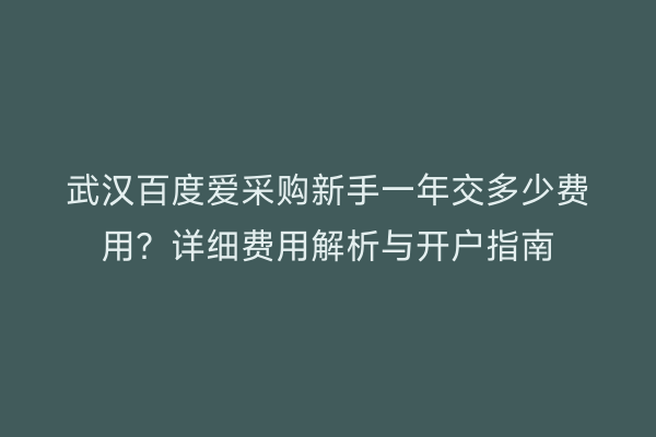 武汉百度爱采购新手一年交多少费用？详细费用解析与开户指南