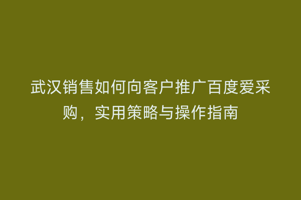 武汉销售如何向客户推广百度爱采购，实用策略与操作指南
