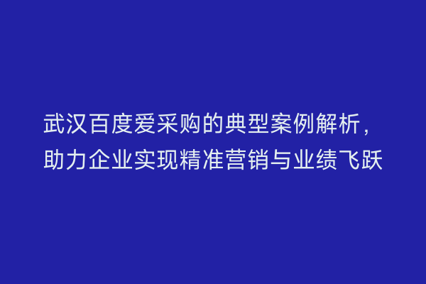 武汉百度爱采购的典型案例解析，助力企业实现精准营销与业绩飞跃