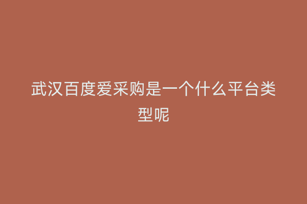武汉百度爱采购是一个什么平台类型呢