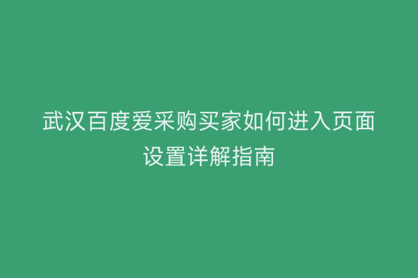 武汉百度爱采购买家如何进入页面设置详解指南