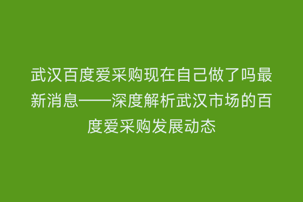武汉百度爱采购现在自己做了吗最新消息——深度解析武汉市场的百度爱采购发展动态