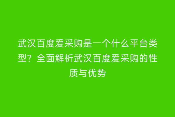 武汉百度爱采购是一个什么平台类型？全面解析武汉百度爱采购的性质与优势