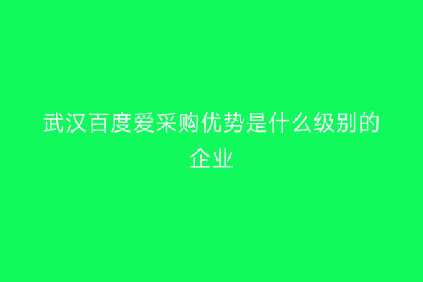 武汉百度爱采购优势是什么级别的企业
