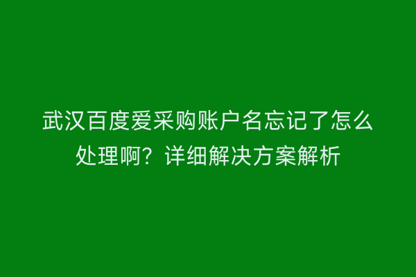 武汉百度爱采购账户名忘记了怎么处理啊？详细解决方案解析