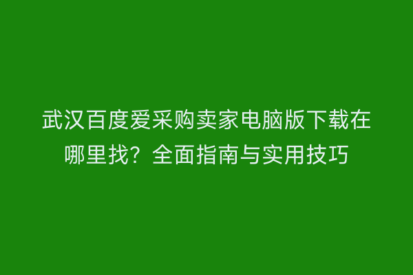 武汉百度爱采购卖家电脑版下载在哪里找？全面指南与实用技巧