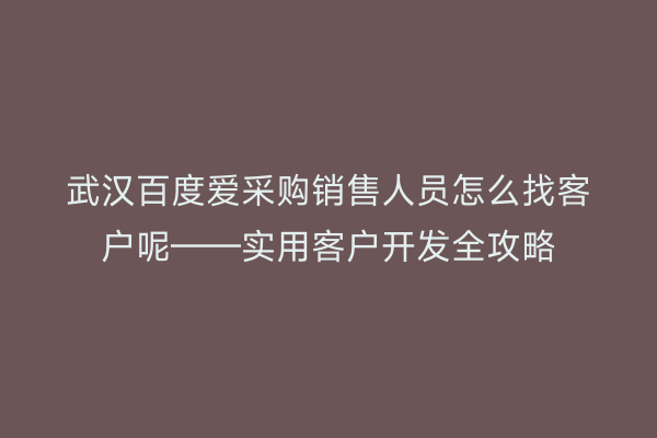 武汉百度爱采购销售人员怎么找客户呢——实用客户开发全攻略